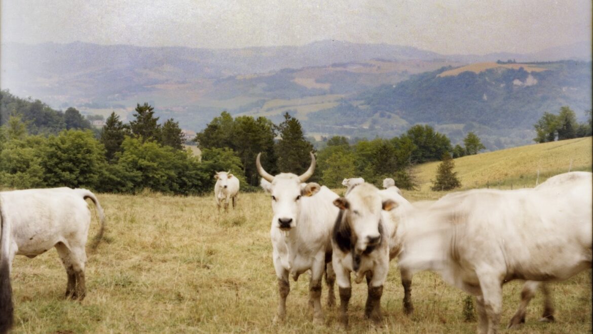 Conosci la Biodinamica?