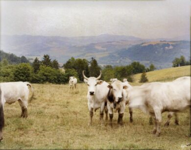 Conosci la Biodinamica?
