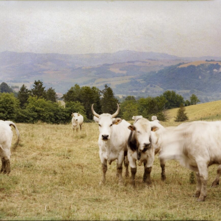 Conosci la Biodinamica?