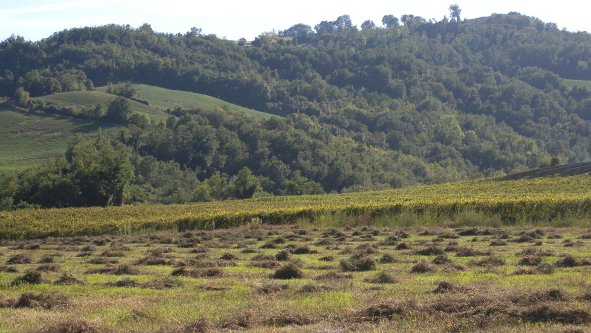 Le nostre origini: la Romagna