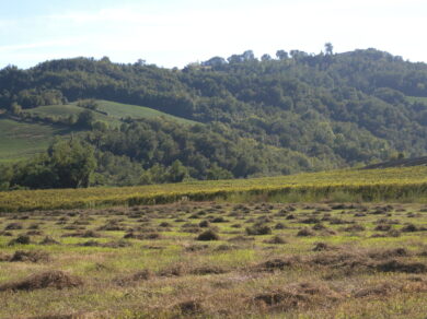 Le nostre origini: la Romagna