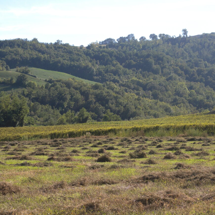Le nostre origini: la Romagna