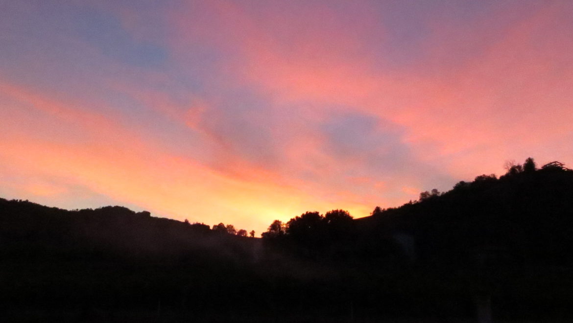 Orientamento al FUTURO !