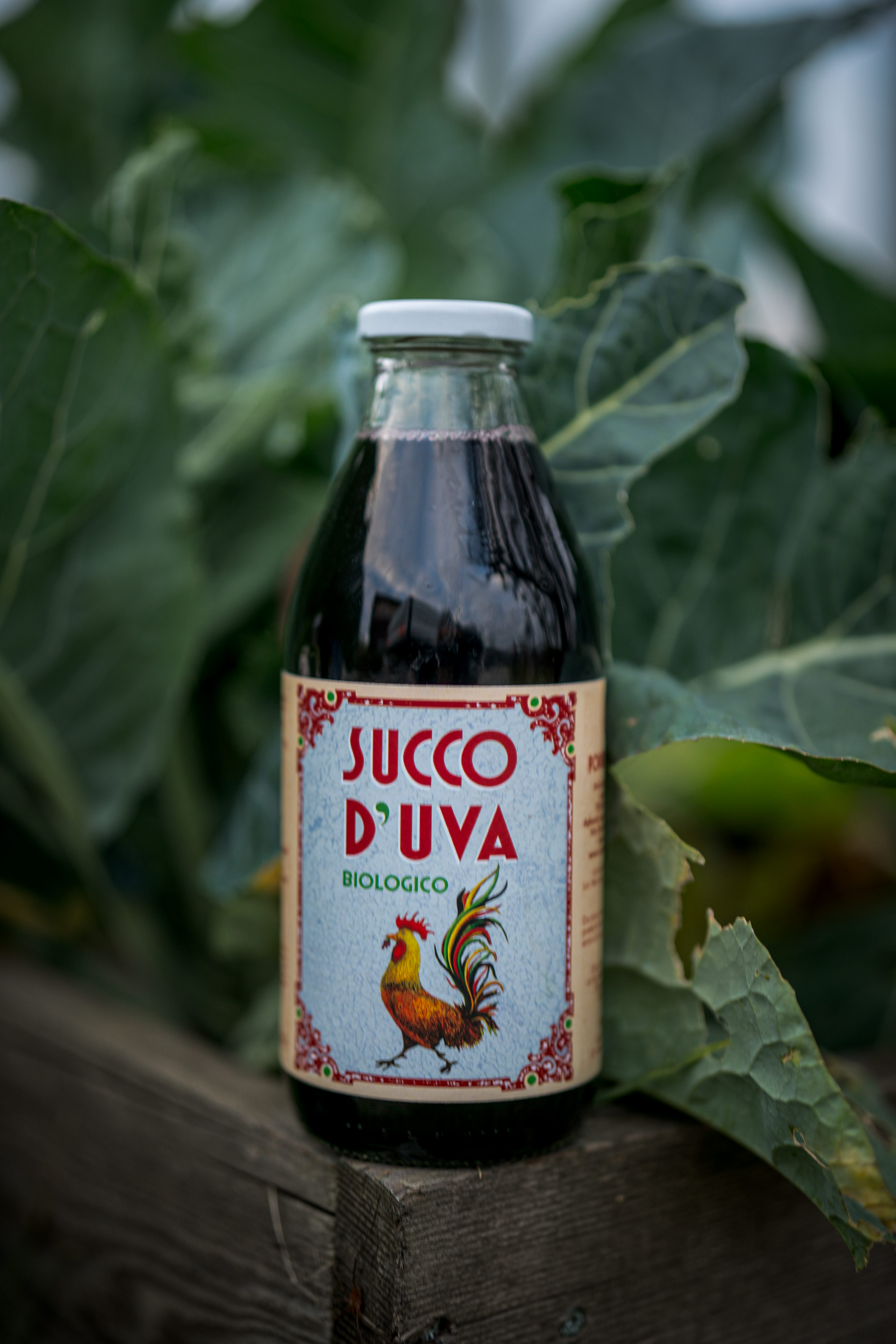 SUCCO D'UVA